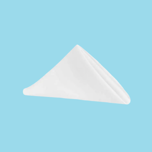 20 by 20 polyester napkins dusty white