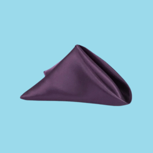 20 by 20 satin napkins eggplant