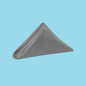 20 by 20 satin napkins charcoal