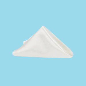 20 by 20 satin napkins ivory