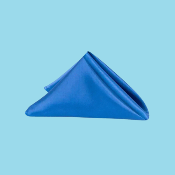 20 by 20 satin napkins royal blue