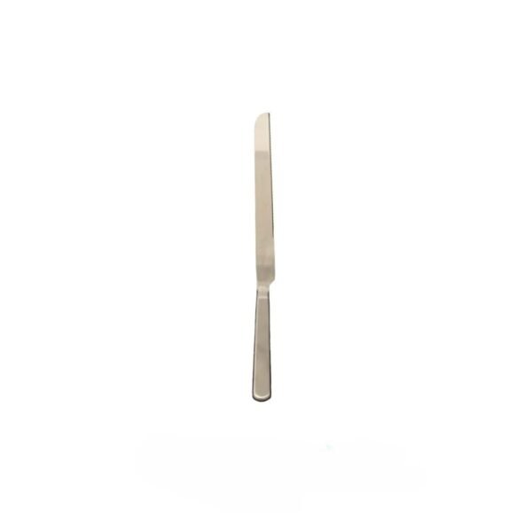 Cake knife