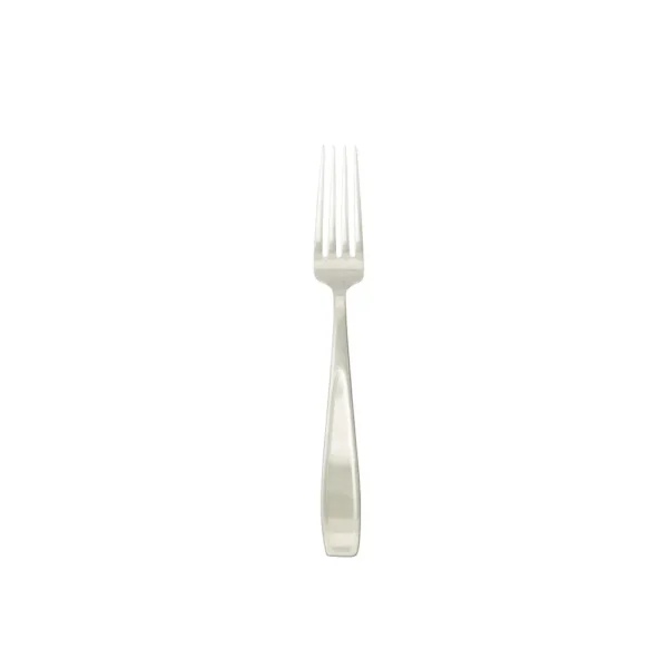 Stainless steel dinner fork 10 set