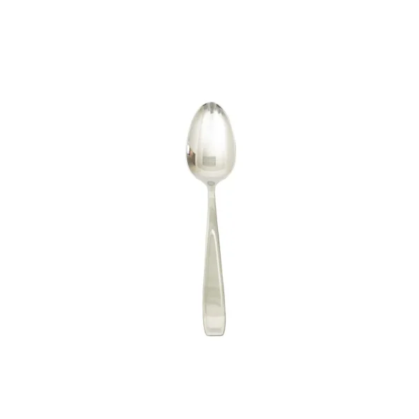 Stainless steel dinner spoon 10set