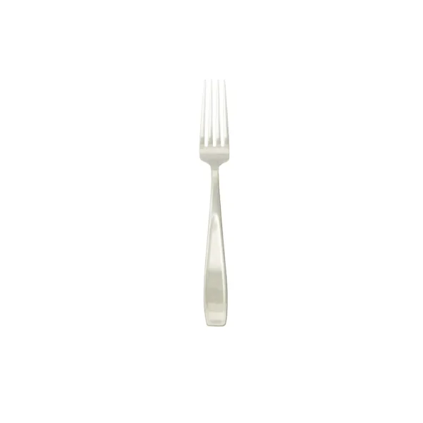 Stainless steel salad fork 10set