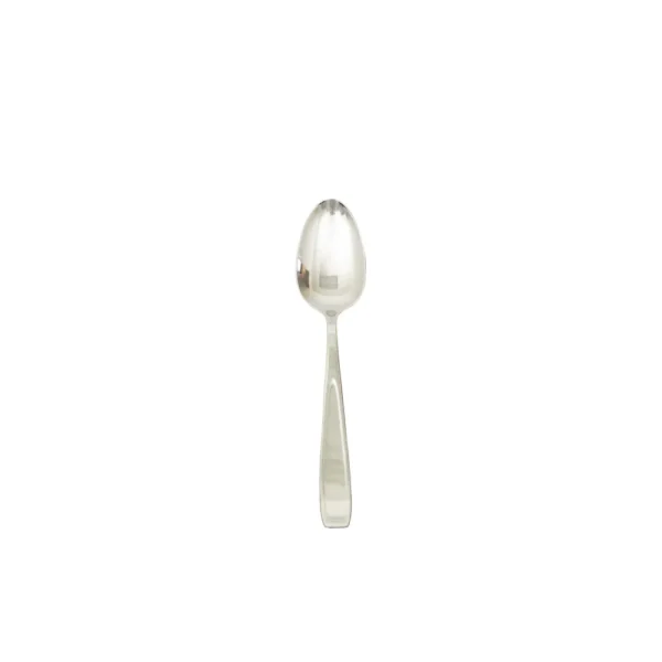 Stainless steel teaspoon 10set