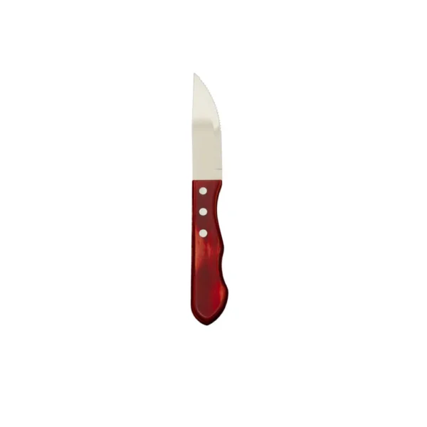 Steak knife