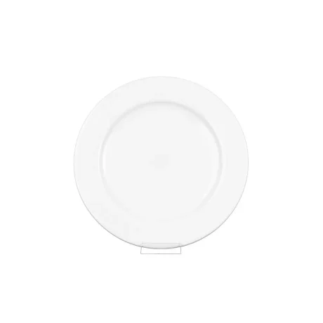 10.5in dinner plate 5set