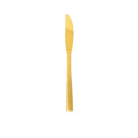 Gold dinner knife 10set
