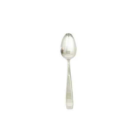 Stainless steel dinner spoon 10set