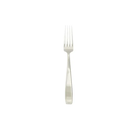 Stainless steel salad fork 10set