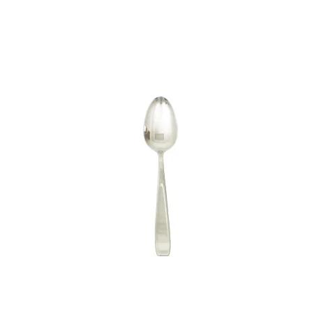 Stainless steel teaspoon 10set
